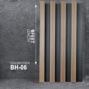 BH-06